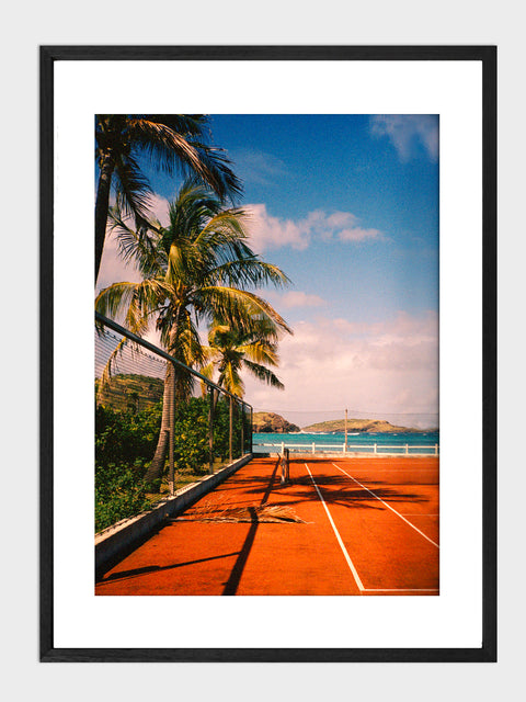 St Barths palm on court