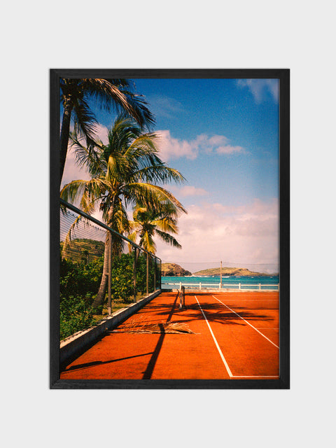 St Barths palm on court